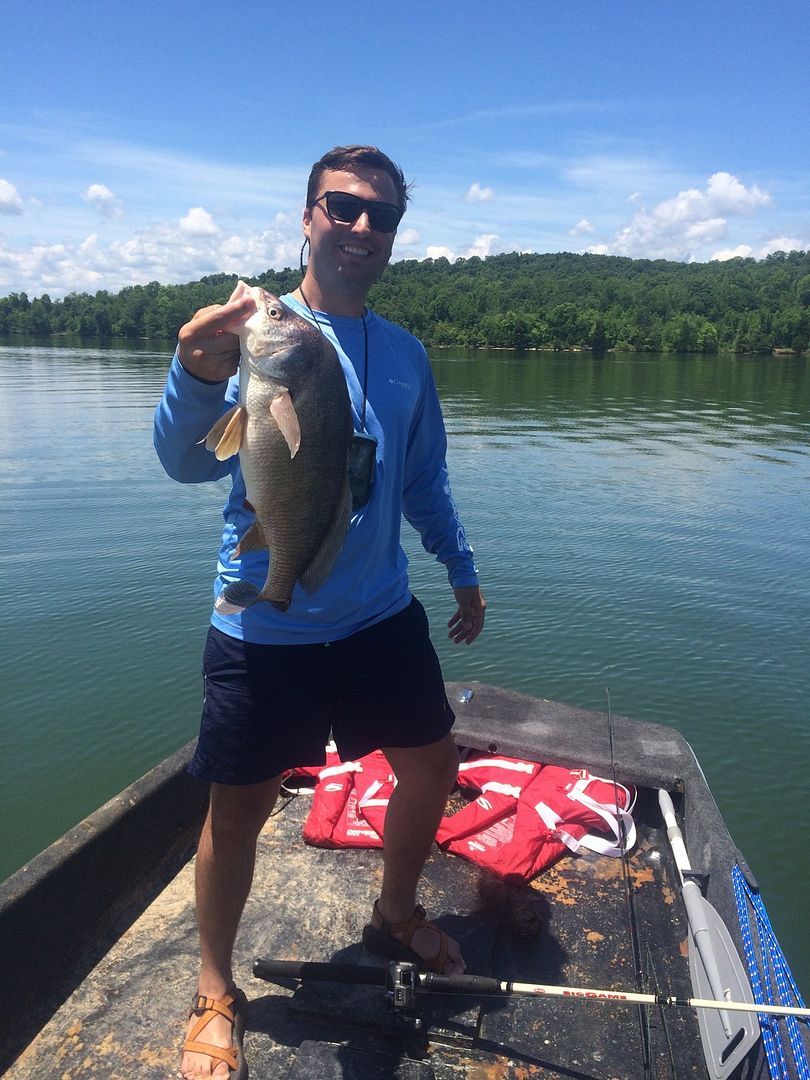 Learning. The Spoonpluggers Forum